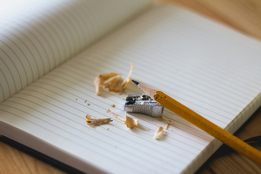 Une branche portant des feuilles vertes brillantes est posée sur une pile de livres