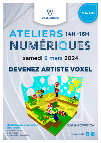 Devenez Artiste de Voxel Art